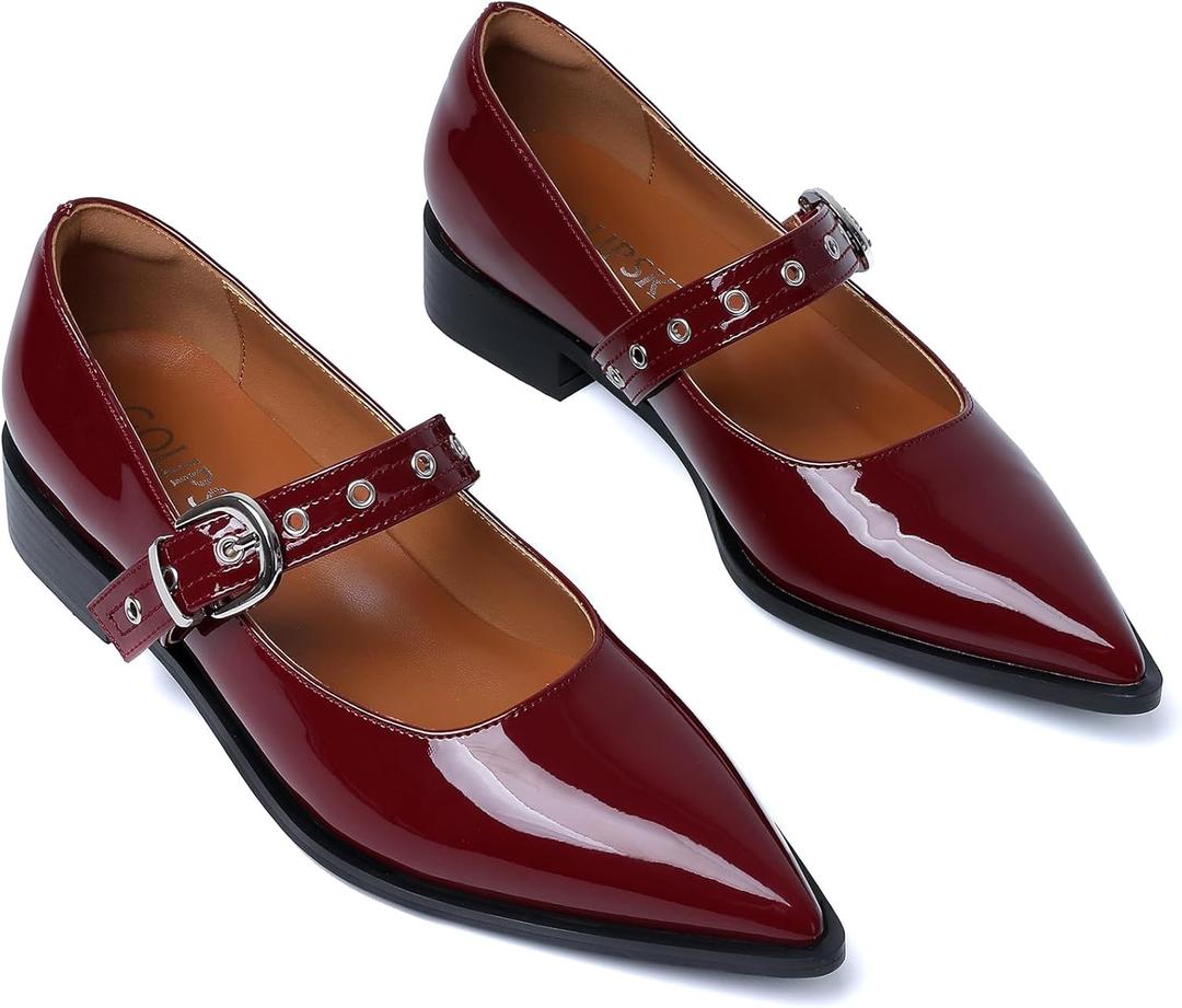 Mary Jane Shoes Women Chunky Low Heels Buckle Strap Pumps Womens Closed Pointed Toe Ballet Flats Causal Daily Dress Shoes (8.5, Burgundy)