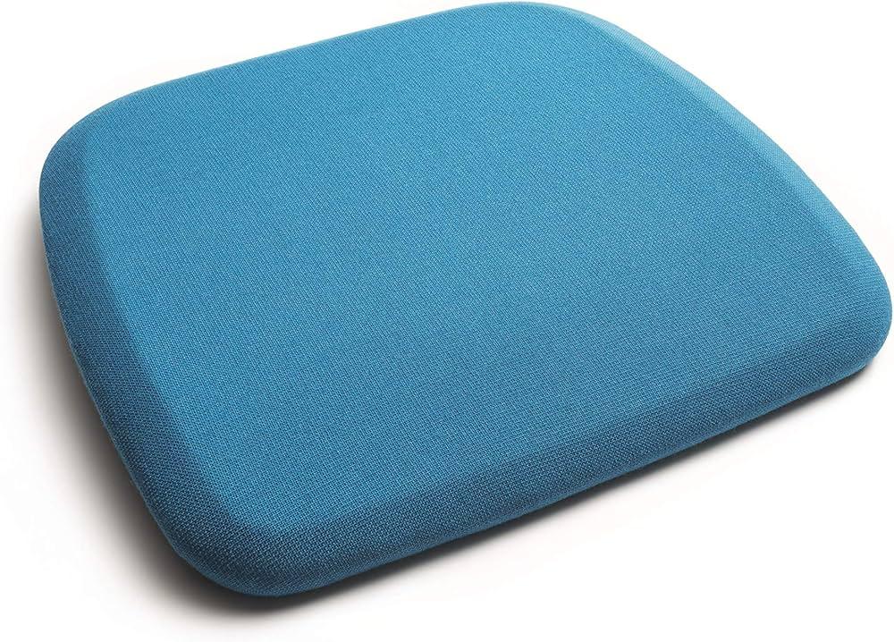 Outside couch cushion 19"*17" ( Blue )