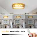 foucasal Modern LED Flush Mount Ceiling Light with Night Light Gold 13", 12.79inch Vertical Pattern