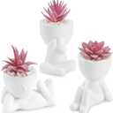 Der Rose 3 Pcs Fake Succulents Plants Artificial Pink Room Office Desk Decor for Women