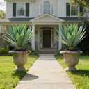 Artificial Agave Plant,30in Faux Plants Outdoor Decor,UV Resistant Large Potted Greenery,Realistic Plastic Succulents Perfect for Front Porch, Patio, Indoor Outdoor Home, Office Decor,2pack