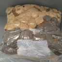 HyDren 24 Pcs Valentines Day Teddy Bear Bulk Stuffed Animal Bear Plush Gift 12 Inches Soft Stuffed Animals Small Sleeping Playing Toys for Baby Shower Birthday Graduation Decoration(Colorful)