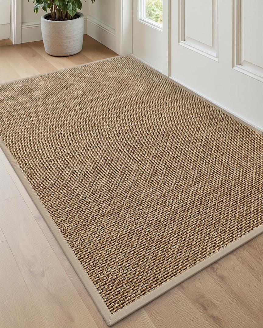 DEXI Ultra Thin Entryway Indoor Door Mat 32x48, Non Slip Rubber Backing Inside Entry Mat, Low Profile Easy Clean Dirt Trapper Doormat for Inside Entrance Patio, Beige