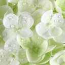 Coferset Light Green Hydrangea Artificial Flowers 3pcs Lifelike Faux Hydrangea Real TouchArtificial Flowers for Outdoors Home Wedding Christmas Office Party Living Room Decoration,22inch