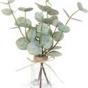 Artificial Eucalyptus Stems in Glass Vase with Faux Water,3Pcs Fake Plant with Double-Sided Green Leaves for Centerpiece(Double-Sided Green Eucalyptus)