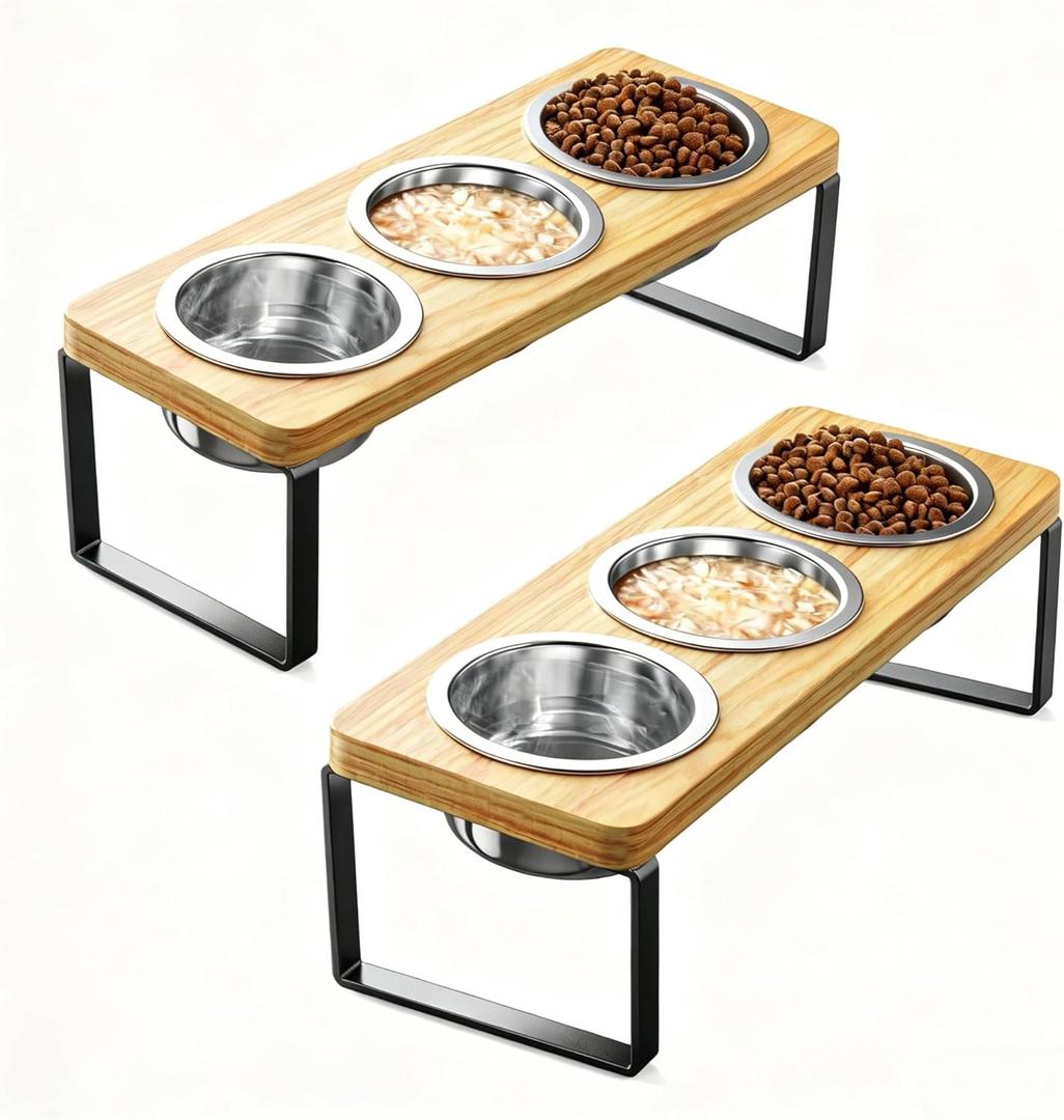 2 Pack Elevated Cat Bowls with 3 Stainless Steel Bowls | 10 Tilted Anti-Vomiting Raised Cat Food Bowl for Small Cats and Puppies Pet Bowl with Stand