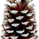 Frosted Pine Cones – Set of 15 Small 3–4" Loblolly Pinecones for Crafts, Christmas & Winter Decor, DIY Ornaments, Vase Fillers, Rustic Wedding Centerpieces & Seasonal Home Styling Events