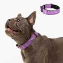 Dog Friendly Co. Tactical Dog Collar | Comfortable & Secure | Quick Release Clip Buckle and Heavy Duty D-Ring | Soft Padded Neoprene, Chafe Resistant, Night-Time Visibility | Purple, Size XS/XXS