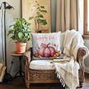 Fall Decorative Throw Pillow Covers,Autumn Pumpkin and Buffalo Check Plaid Design 18x18 Inch Cushion Cases 2Pack Happy Fall Harvest Farmhouse Home Pillowcases for Autumn Thanksgiving (Pink, 18" x 18")