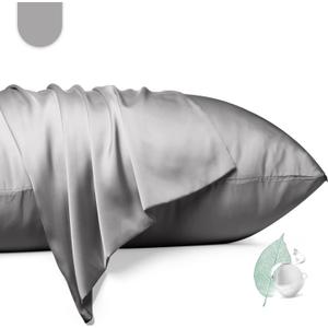 100% Mulberry Silk Pillowcase 2 Pack,Queen Size Silk Pillow Cases for Hair and Skin,Silky Smooth Bed Pillow Cover with Hidden Zipper,Natural Silk Pillow Case Set of 2 (Gray, Queen 20X30)
