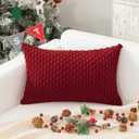 Kevin Textile Valentines 12x20 Inch Pillow Cover 1 Pack Boho Decorative Soft Striped Corduroy Lumbar Farmhouse Color Accent Rectangle Cushion Case for Living Room Couch Sofa Bed, Burgundy