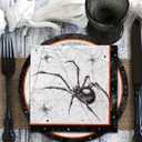 Spider Webs Halloween Party Supplies - Featuring Skull & Spider Themes, All-inclusive Wicked Web Paper Plates and Napkins. Ideal for Halloween Party Decorations, Serve 50 Guests.