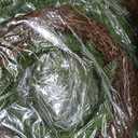 8 Pcs 14" Christmas DIY Green Wreath Artificial Wreath, Norfolk Pine
