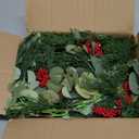 Lvydec Christmas 6Ft Pine Christmas Garland, Realistic Artificial Faux Greenery Garland with Berry and Eucalyptus Leaves Cypress Garland for Mantle Holiday Fireplace Winter Decor