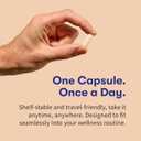 Garden of Life Probiotics for Men, Dr Formulated 50 Billion CFU 15 Probiotics for Digestive Health + Organic Prebiotic Fiber, Colon & Immune Support, Daily Gas Relief, Shelf Stable, 30 Capsules (EXP 03/01/26)