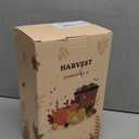 Lffital Fall Snow Globe Lantern Fall Decor Candle Shape with Gnome and Turkey, Lighted Thanksgiving Decorations with Timer Swirling Glitter for Tabletop Autumn Festival Harvest Day