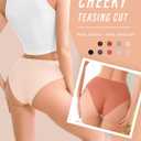 UNDER THE SEA Seamless Underwear for Women Plus Size Mid Rise Lingerie Brief Sexy No Show Panties Womens Cheeky 5 Pack XS-3XL (Medium)