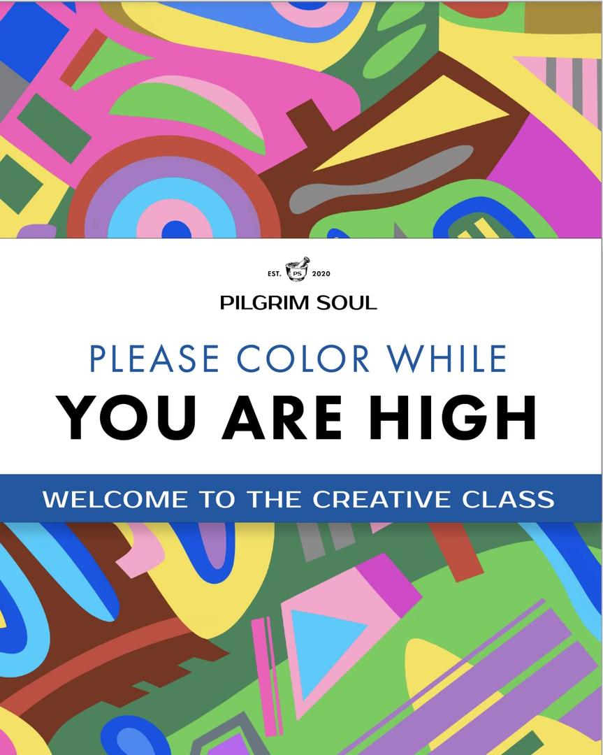 Mood Enhancing Adult Coloring Book: Please Color While You Are high Volume 2 (Pilgrim Soul's Mood Enhancing Coloring Book)
