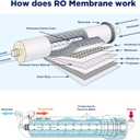 Membrane Solutions 100 GPD RO Membrane, Reverse Osmosis Membrane with Membrane Housing, Replacement for Under Sink Home Drinking RO Water Filter System, Wrench,1/4" Quick-Connect Fittings,Check Valve