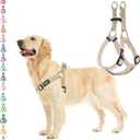 PUPTECK No Pull Dog Harness Soft Adjustable Basic Nylon Step in Puppy Vest Outdoor Walking with ID Tag Cream