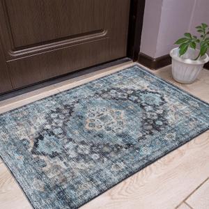 Blue Door Mat Entryway Rug, 2x3 Soft Non-Slip Machine Washable Low-Pile Throw Rug for Living Room Bedroom Kitchen Entrance