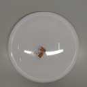 Smart LED Ceiling Light Fixture, Modern Dimmable Flush Mount Ceiling Light, Compatible with Alexa & Google Home, Lighting for Bedroom, Kitchen, Living Room, 12 Inch