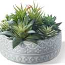 Artificial Succulent Plants Faux Potted Indoor with Ceramic Pot - Fake Plants for Bedroom, Bathroom, Home Office, Coffee Table Decor - Desk & Room Aesthetics