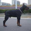 Winter Waterproof Dog Snowsuit  Full Body Outdoor Jacket with Leash Ring, Fleece Lining, Windproof Reflective 4-Leg Dog Coat for Small to Large Dogs Black 3XL (3XL (Back Length 21.5"))