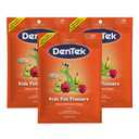 DenTek Kids Fun Flossers, Removes Food & Plaque, 75 Count, 3 Pack