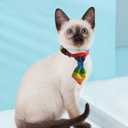 POPETPOP Rainbow Bow Tie Cat Collar Breakaway Safety Collar for Cats and Dogs Adjustable Pet Necklace for Daily Wear and Special Occasions