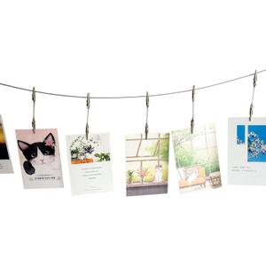 Wall Hanging Photo Display, DIY Picture Photo Frame String with 12 Clips for Hanging Photos Notes and Artworks (Adjustable Alligatory Clip)