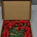 Red Carnations Artificial Flowers 15pcs Real Touch Carnation Flowers Silk Flowers with Stems for Wedding Bouquets for Bridal Home Table Centerpieces Floral Arrangements (Red)