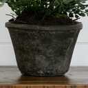 Nearly Natural 4251 Maiden Hair Artificial Plant in Planter Green Small