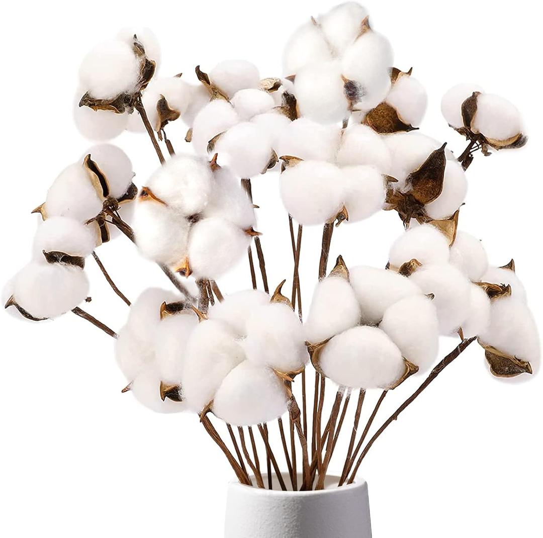 DomeStar Cotton Stems 8 Packs with 15 Bolls, Natural Dried Flowers Cotton Sprigs for Vase Fillers and Floral Arrangements - Fall Decorations and DIY Crafts