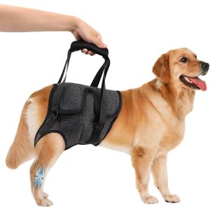Dog Sling for Large Dogs Hind Leg Support, Adjustable Lift Harness for Medium Large Elderly Dogs Rear Leg Support (Size XL)