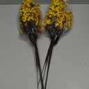 Hananona 10 Pcs Artificial Babys Breath Flowers Orange Fake Silk Gypsophila Flowers for Fall Floral Arrangement Autumn Table Centerpieces Home Decor (10, Orange)