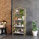 BHG No Assembly Folding Bookshelf for Living Room,Arched Collapsible Book Shelf for Home Office,Portable Bookcase Storage Organizer Rack Shelves