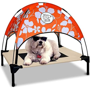 Floppy Dawg Just Chillin’ Elevated Dog Bed. LuxLife Edition - Premium Cot Includes Two Designer Canopies. Lightweight and Portable, Indoor or Outdoor. Chill in Style, Red