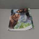 Woodland Animal Neutral Blanket Gift 40x60 Inch