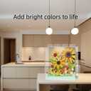 2 x ZvveIIa Flower Building Blocks for Adults, Eternal Rose Bonsai with Display Case, Home & Office Decor, Adult Relaxing DIY, Creative Architecture Model Kit