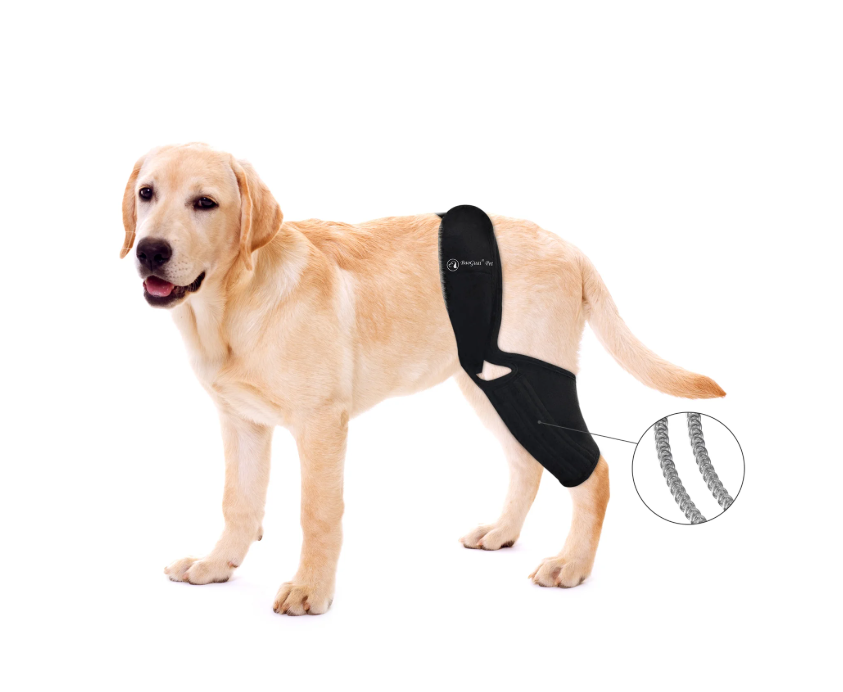 BaoGuai Knee Brace for Dogs ACL with Side Stabilizers,Knee Cap Dislocation, Arthritis - Keeps The Joint Warm and Stable - Extra Support - Reduces Pain and Inflammation - 7Sizes（xs）