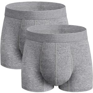 Washable Incontinence Underwear for Men, 2.3 oz Absorbent Leak Proof Odor Control Briefs with Covered Waistband (Gray, L)