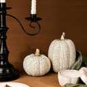 Fall Thanksgiving Pumpkin Decor Figurines, 2 PCS Fake Pumpkin Statues for Tabletop Decorating, White and Gold Resin Pumpkins for Autumn Harvest Luxury Fall Home Decor, Farmhouse, Gift Package (Set of 2)