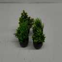 Der Rose Fake Plants 4 Packs Artificial Plants Small Faux Plants Black Bathroom Accessories for Halloween Bathroom Home Kitchen Coffee Table Office Desk Decor Indoor (Green)