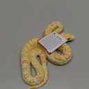 Safari Ltd. Albino Burmese Python Figurine - Lifelike 5.5" Snake Figure - Educational Toy for Boys, Girls, and Kids Ages 3+