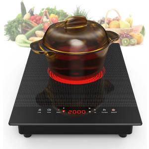 VBGK Electric Cooktop,110V Electric Stove Top,Single Burner Electric Cooktop LED Touch Control,9 Power Levels, Kids Lock &Timer,Overheat Protection,2000W Portable Burner