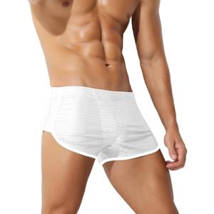 Men's 3-Inch Mesh Workout Shorts - Breathable Quick-Dry Lounge Running Sexy Gym Athletic Fitness Casual Short