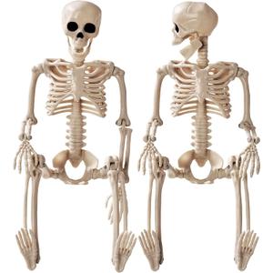 Halloween Decoration Outdoor 2 Pack Skeleton, 16" Plastic Posable Skeleton with Movable Joints, Small Hanging Skeletons for Halloween Decor, Haunted House Graveyard Props