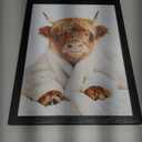 ZXDZSM Highland Cow Funny Bathroom Decor Wall Art, Funny Signs Animal Canvas Wall Art, Bathroom Highland Cow Art Prints,(12x16inch,FRAMED)