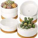 ZOUTOG Succulent Pots,6 Inch Succulent Planters with Drainage and Tray,White Ceramic Planters for Indoor Plants,Round Shallow Flower Plant Pots,Pack of 6, Size: 2.28 Inch High